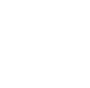 The Express Empire logo